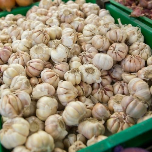 Tak rozpoznasz polski czosnek. Tym różni się od dużo gorszego, chińskiego