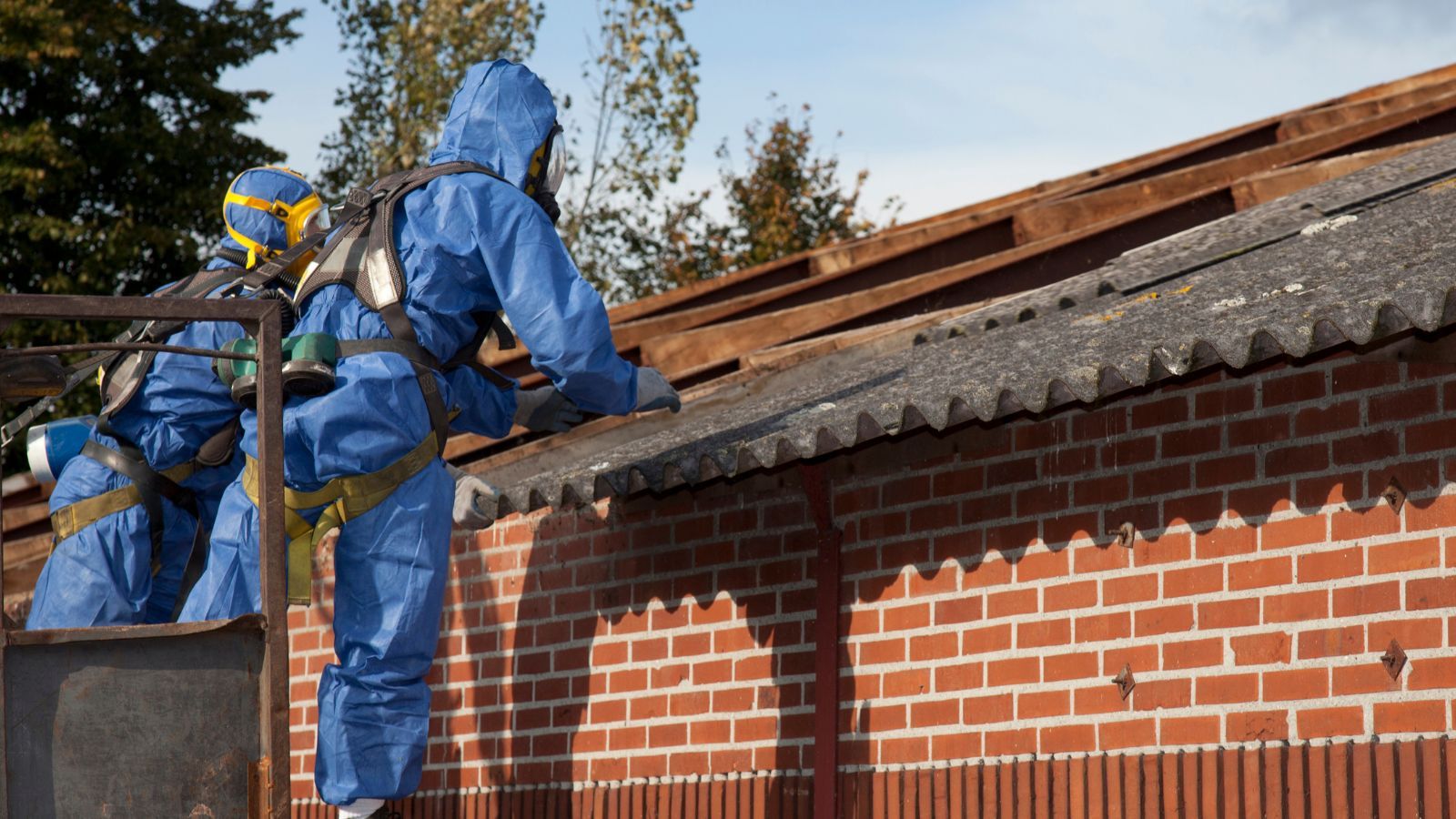 Do 31 stycznia i ani dnia dłużej. Polacy muszą to zgłosić albo narażą się na grzywnę