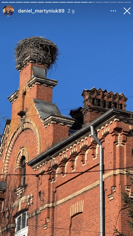 Martyniuk znowu będzie ojcem?... Jedno zdjęcie mówi wszystko