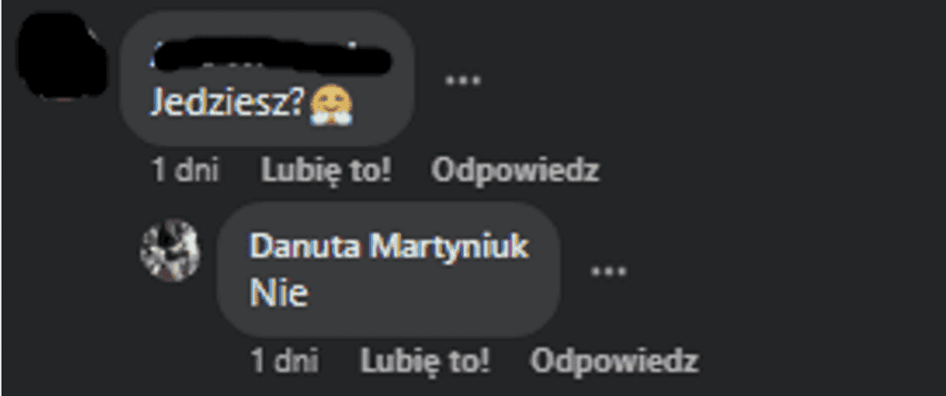 danuta martyniuk facebook.png