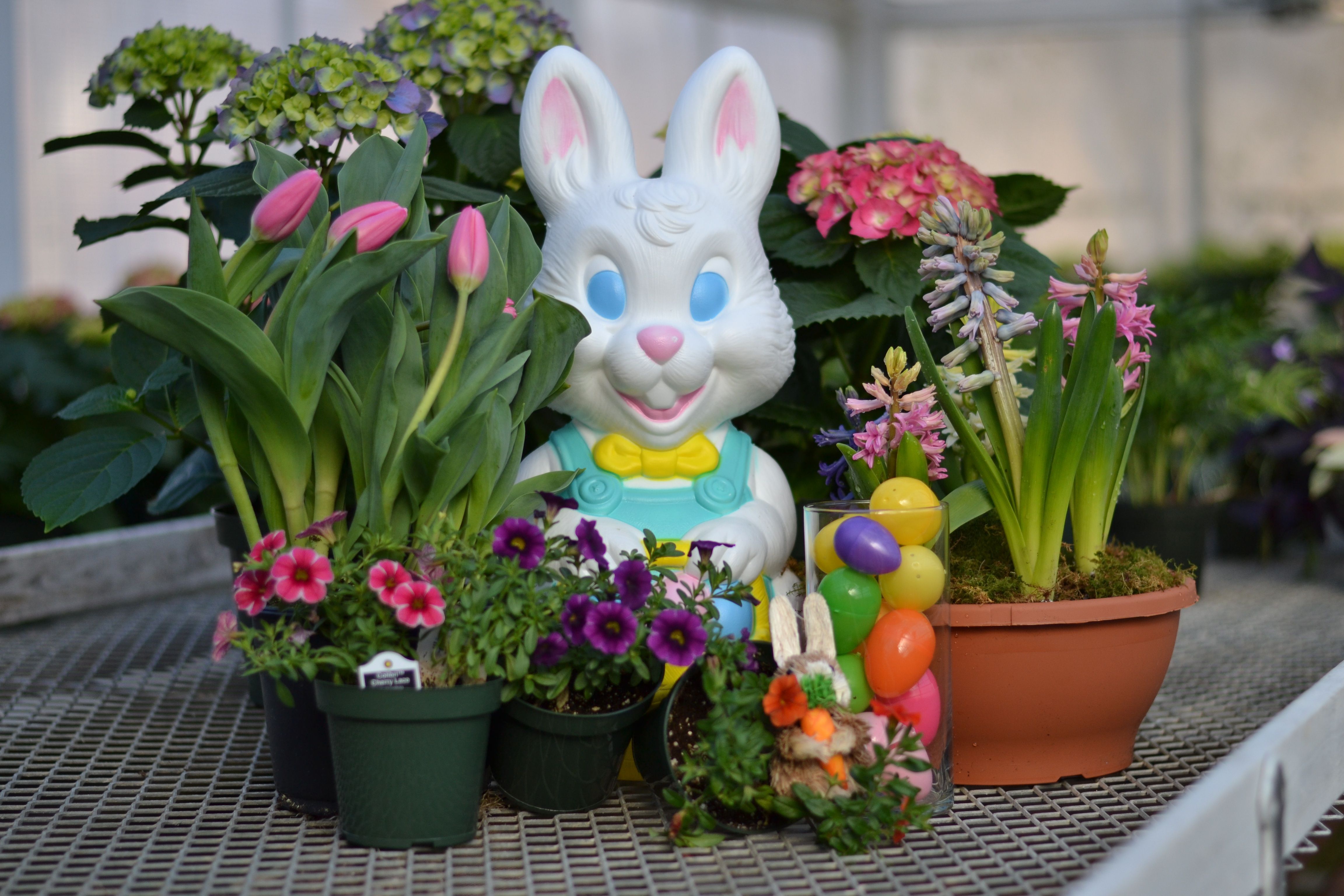 Lepiej pozbądź się takich dekoracji sprzed domu. 1000 zł kary za każdy dzień