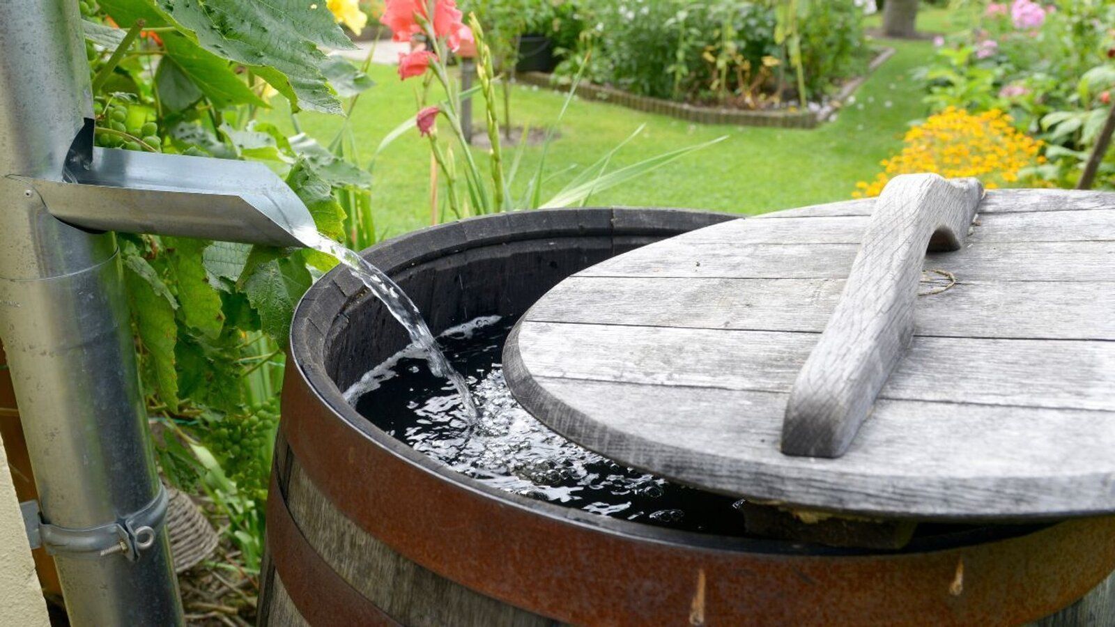 Wchodzi nowy podatek dla Polaków. Obejmuje konkretną grupę