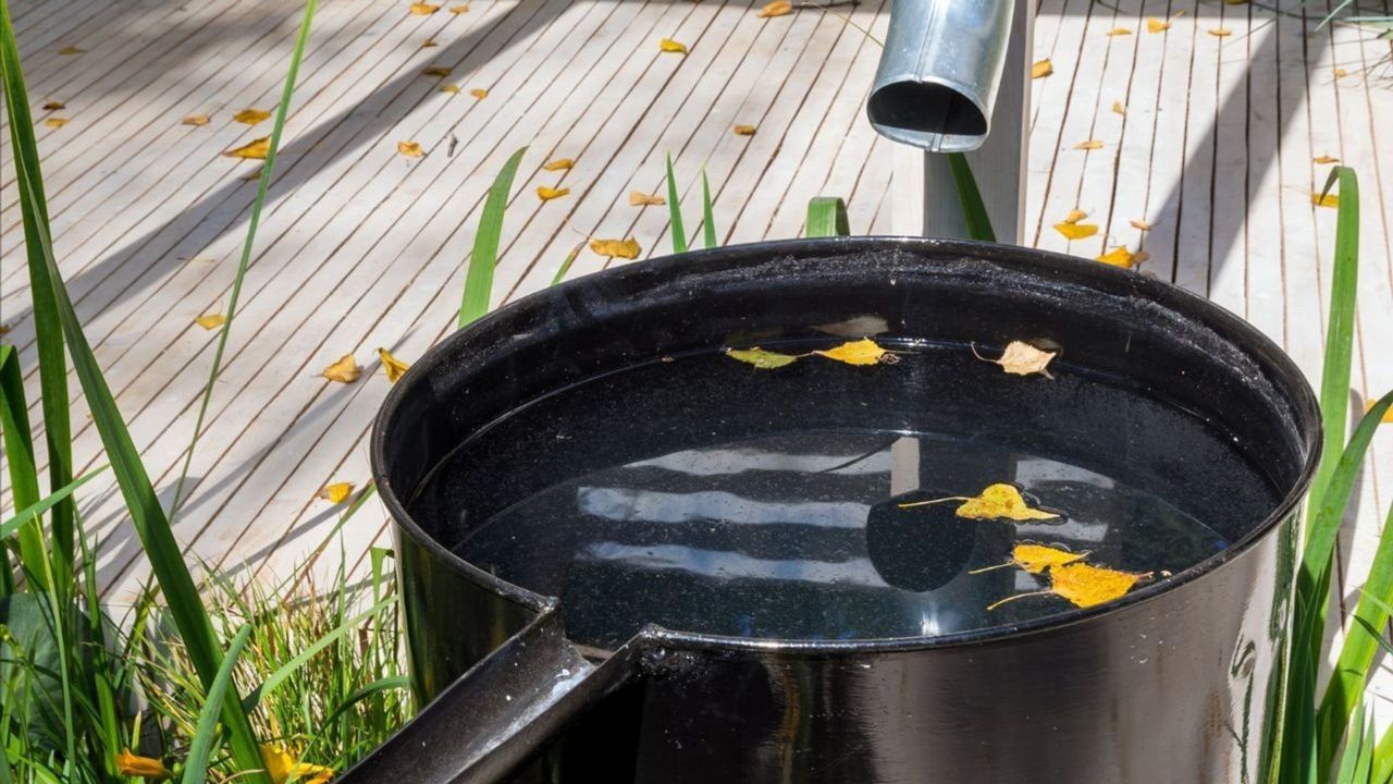 Potężne kary za zbieranie deszczówki. Polacy nie mieli pojęcia