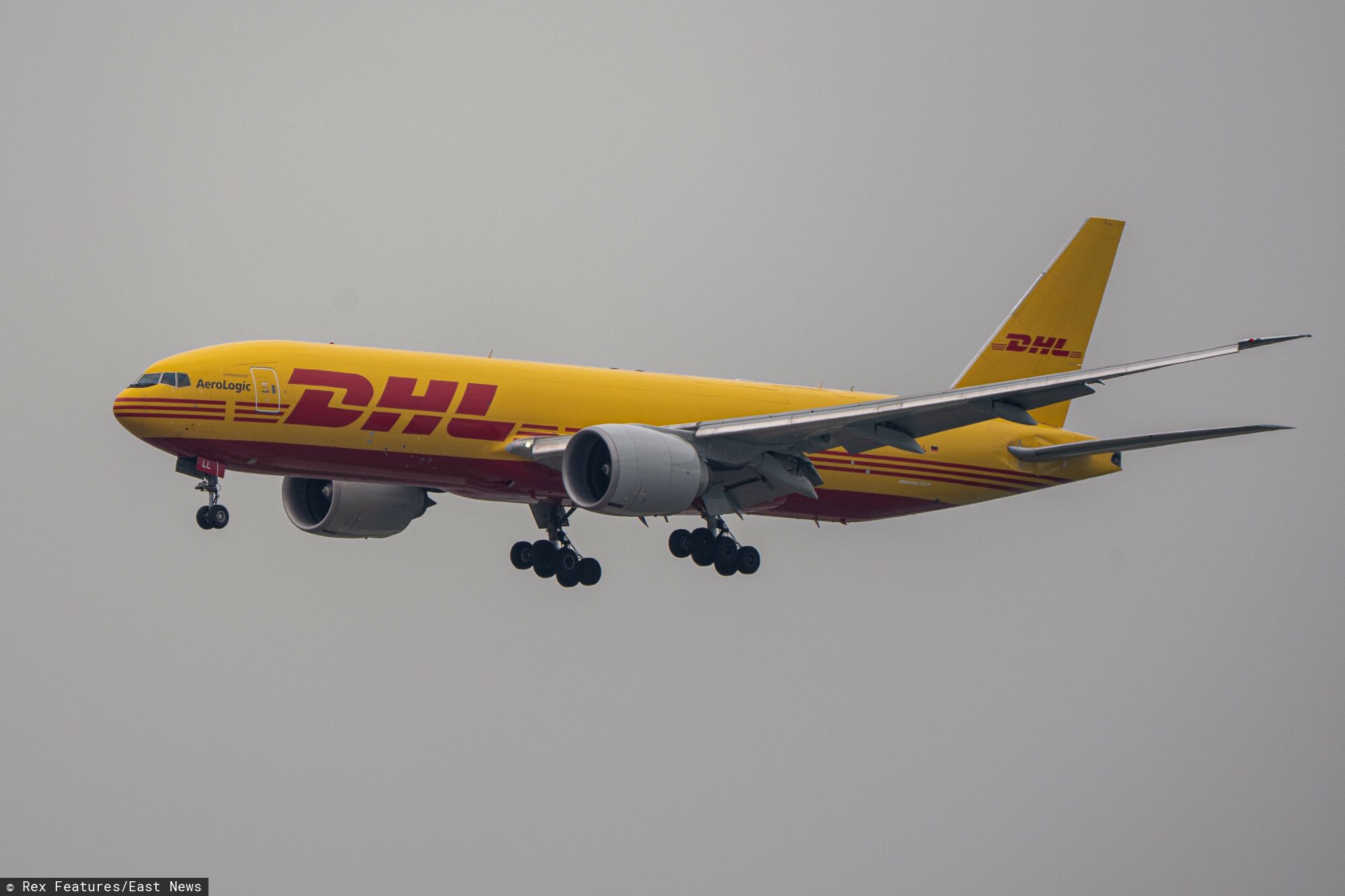 Pracownik DHL nie wierzył w to, co widzi. W środku maskotki odkryto prawdziwą fortunę