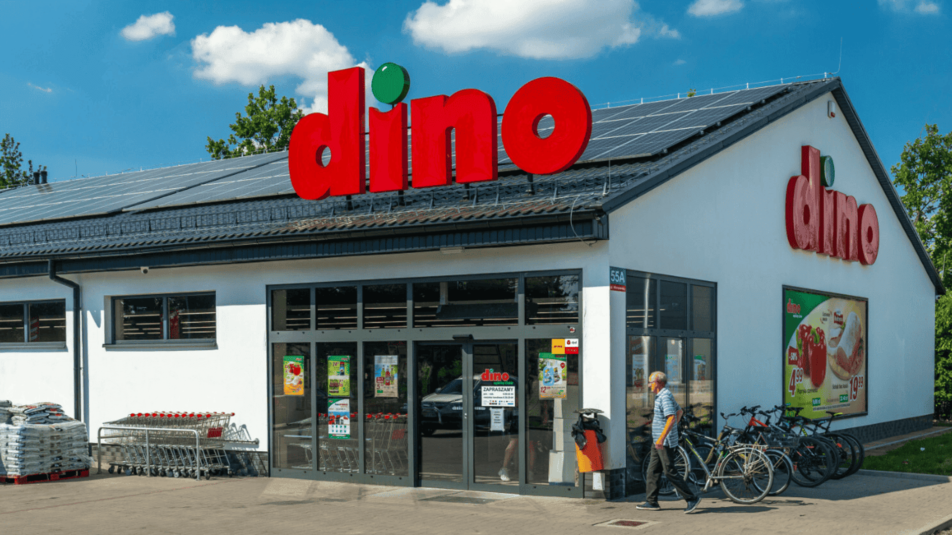 dino.png