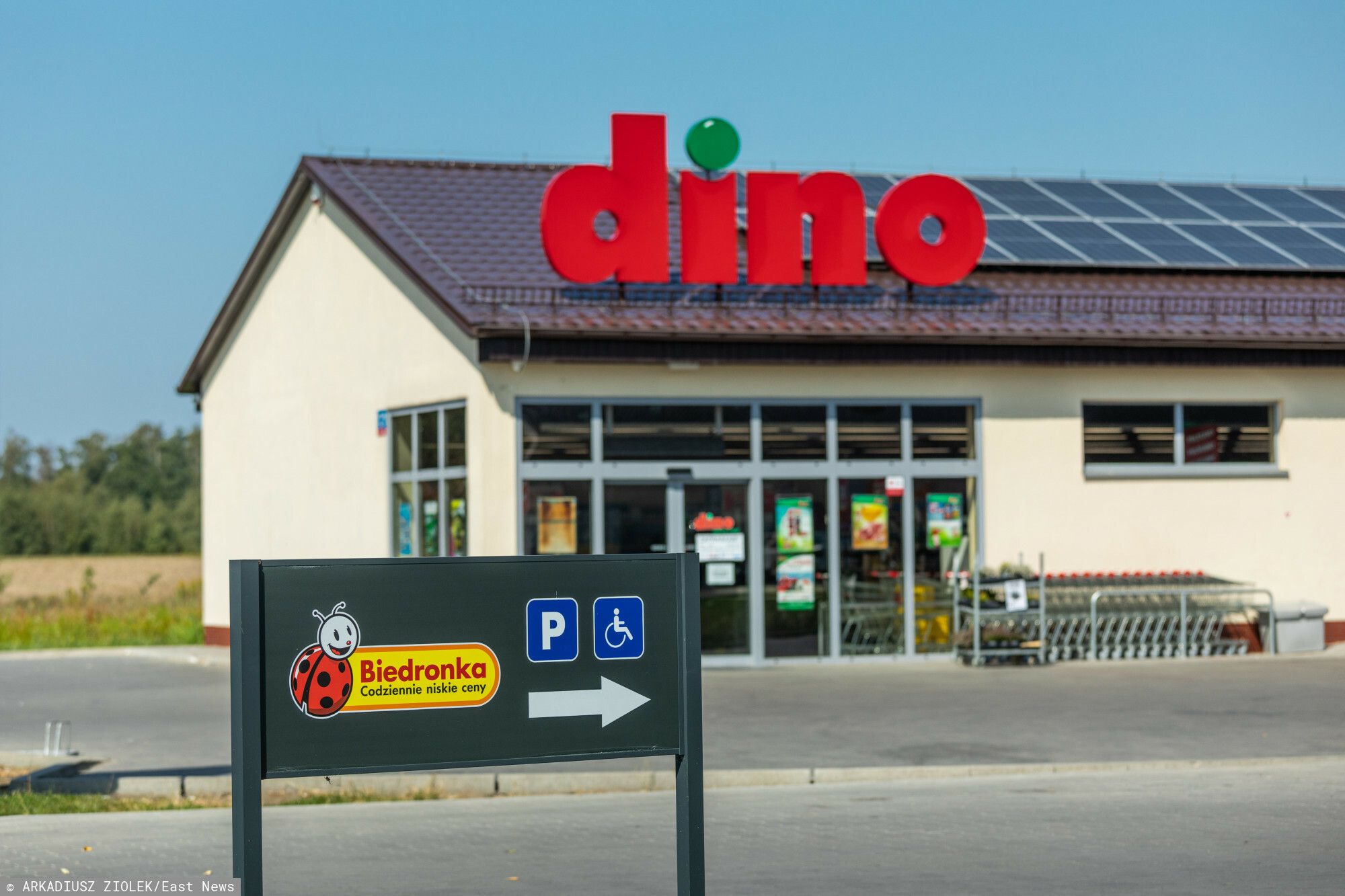 Pracownicy Dino stawiają sprawę jasno. Kolejny strajk przed Bożym Narodzeniem wisi w powietrzu