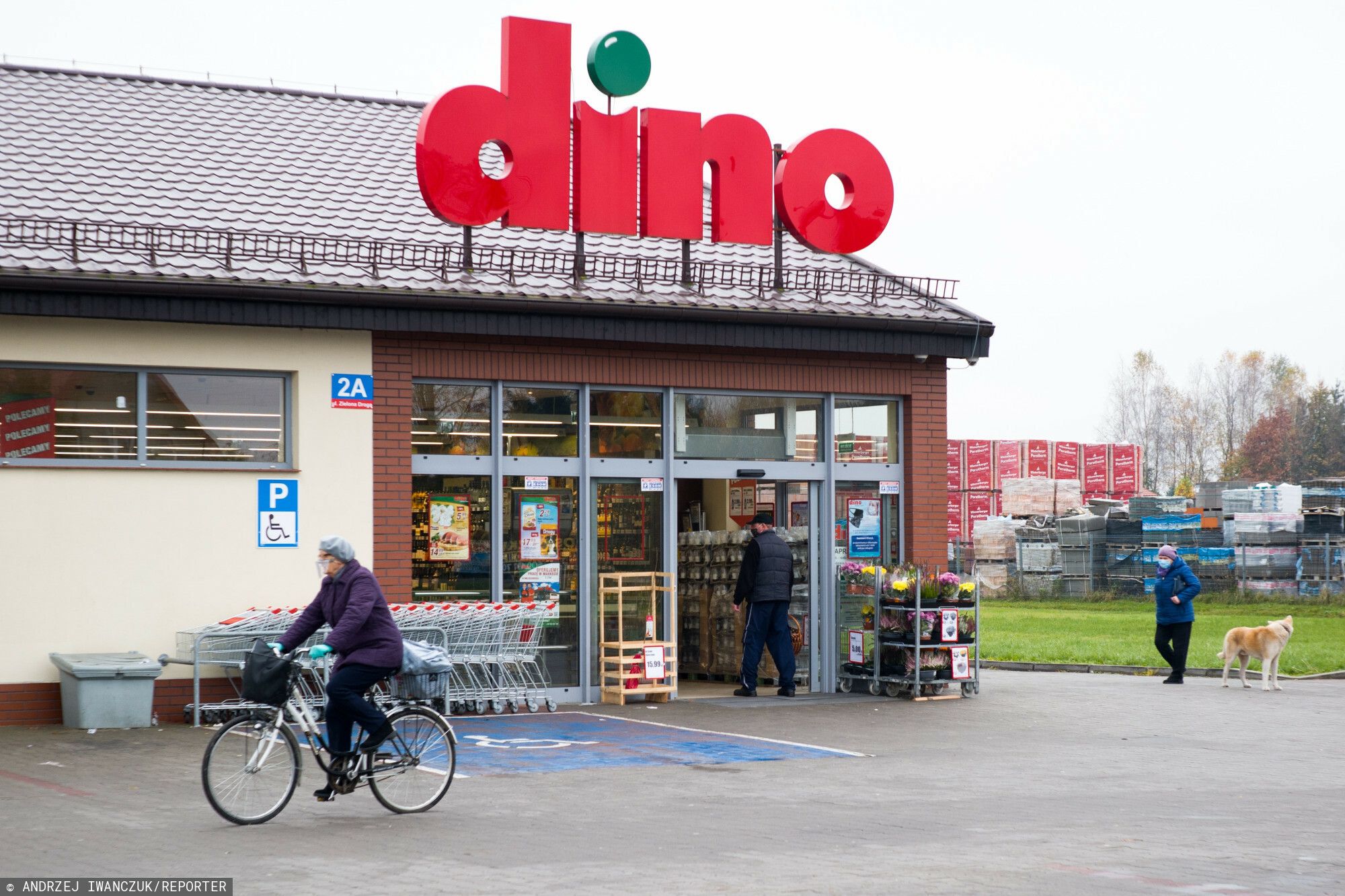 dino sklep.jpg