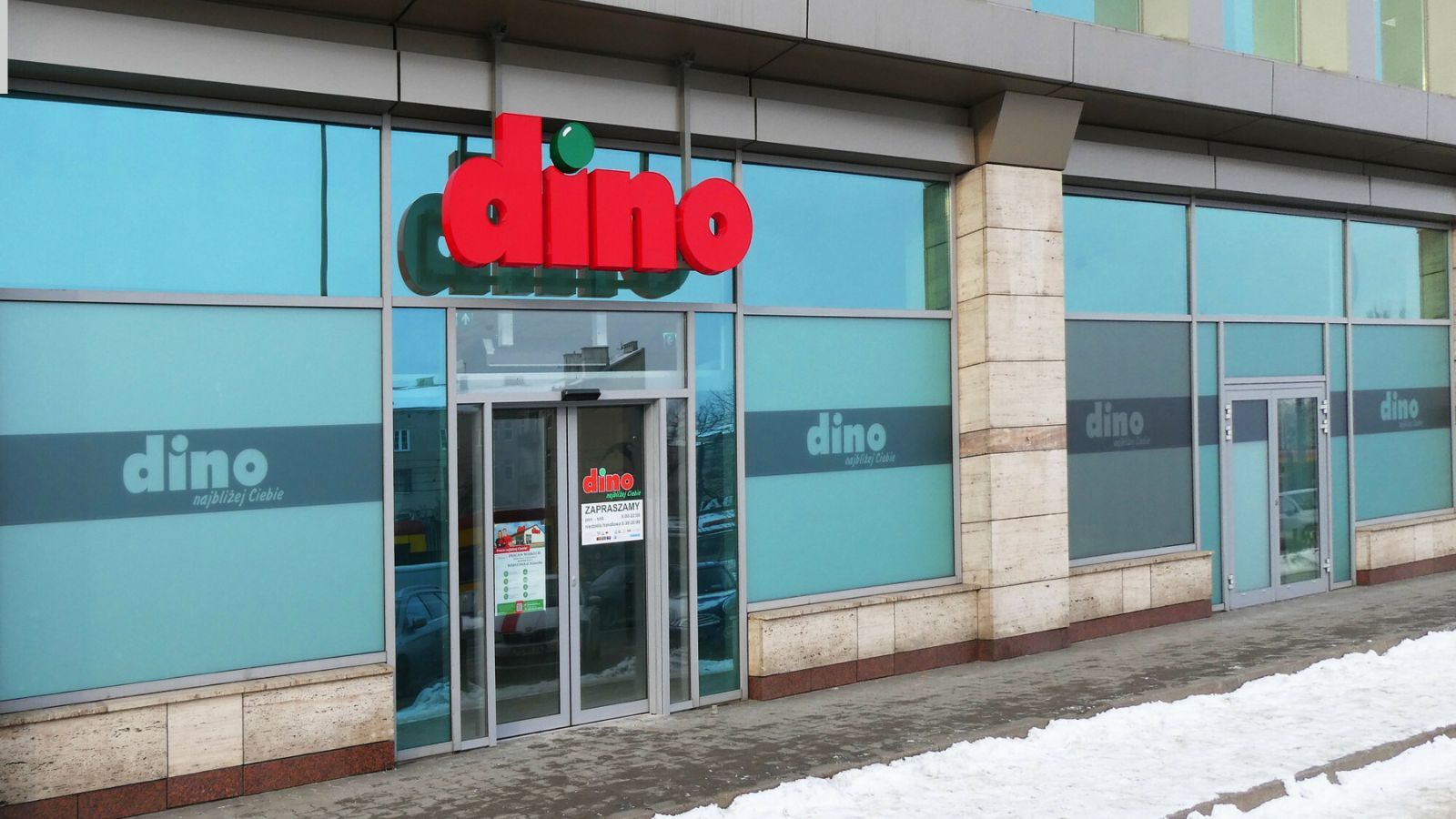 To nie Alaska – to Dino w Polsce. Fotografie kasjerek podbijają sieć