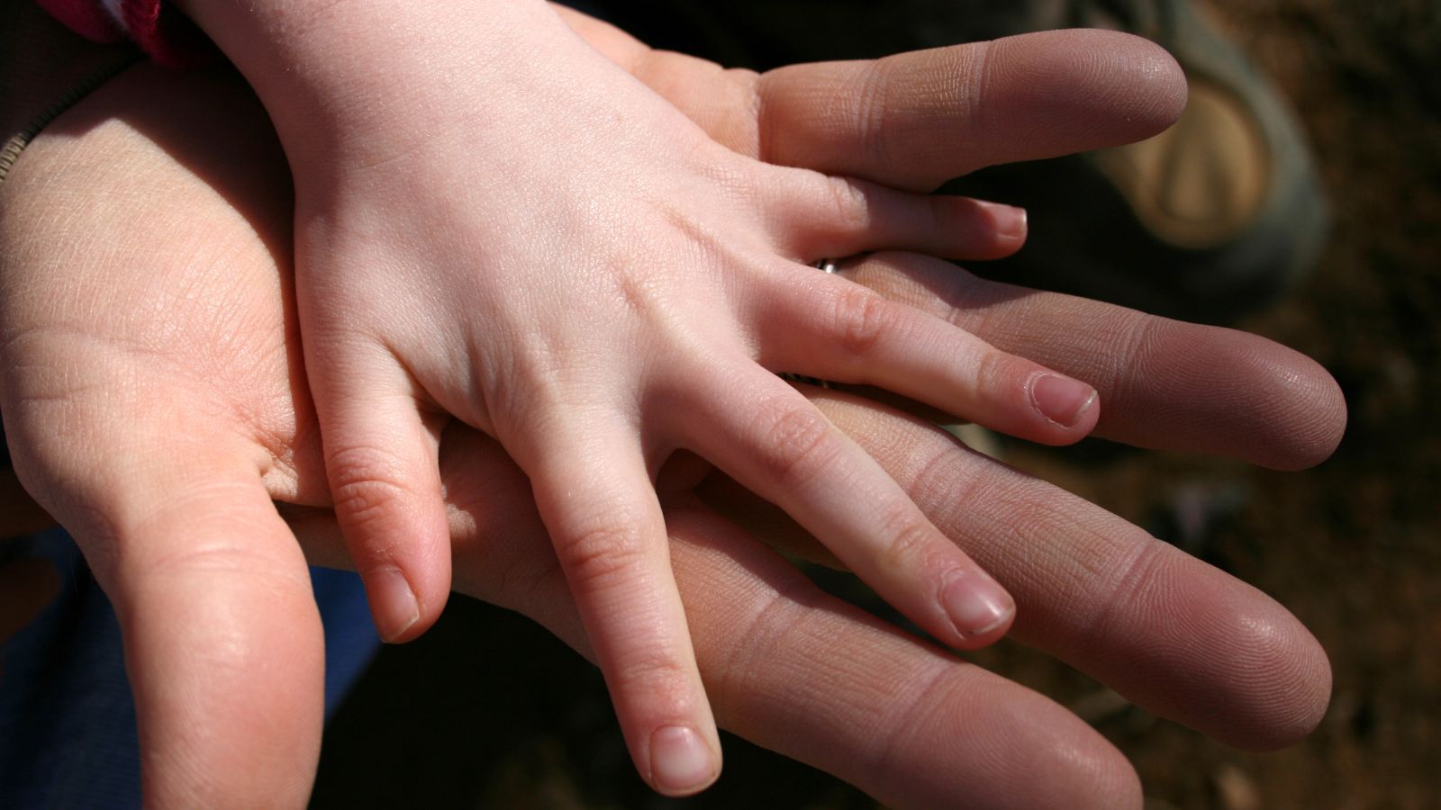 Śmierć 11-latki w Jeleniej Górze. Psychiatra o przyczynach zabójstw wśród dzieci