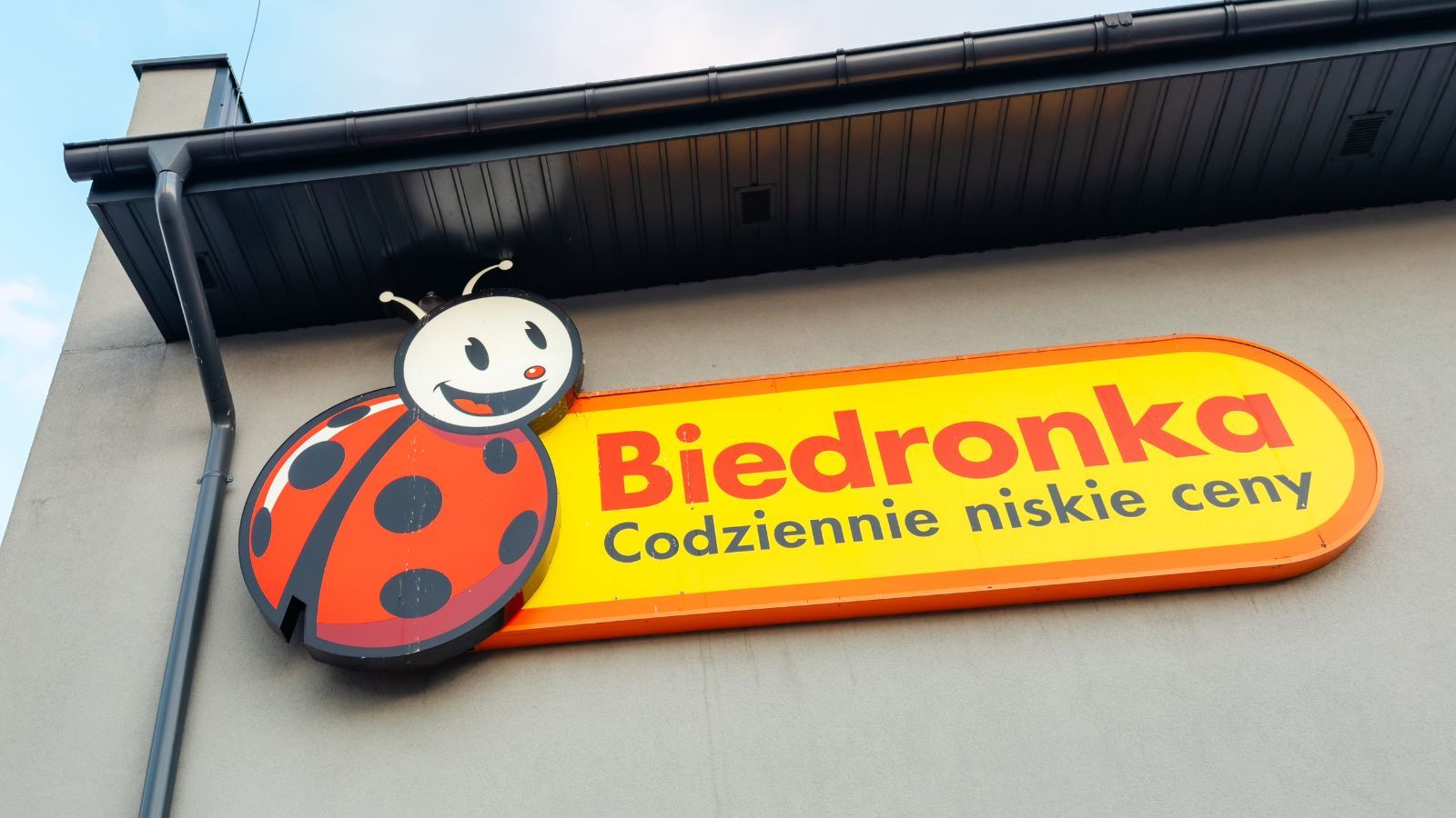 Tylko do końca dnia w Biedronce. Na taką ofertę czekali klienci, czas ucieka, trzeba się spieszyć