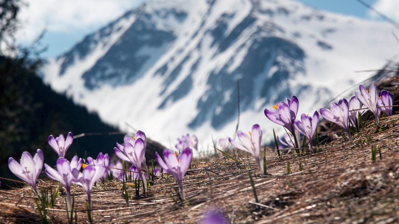 Niezwykłe zjawisko nad Bałtykiem. Zdjęcia z plaży wywołały zachwyt w sieci