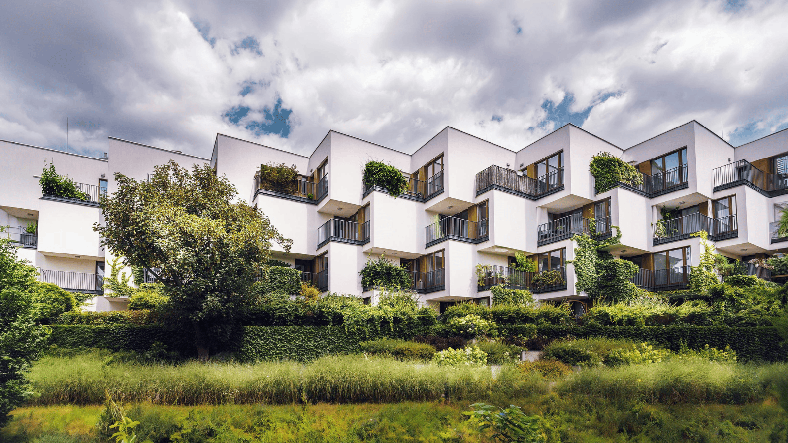 Polacy nie będą mogli tego używać! Unia wprowadza restrykcyjne prawo