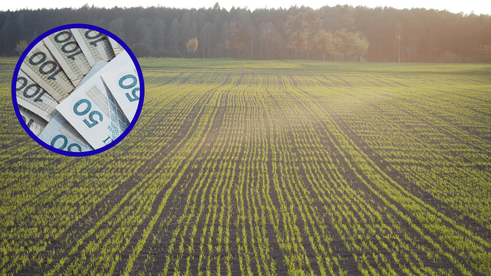 Michał Troszkiewicz