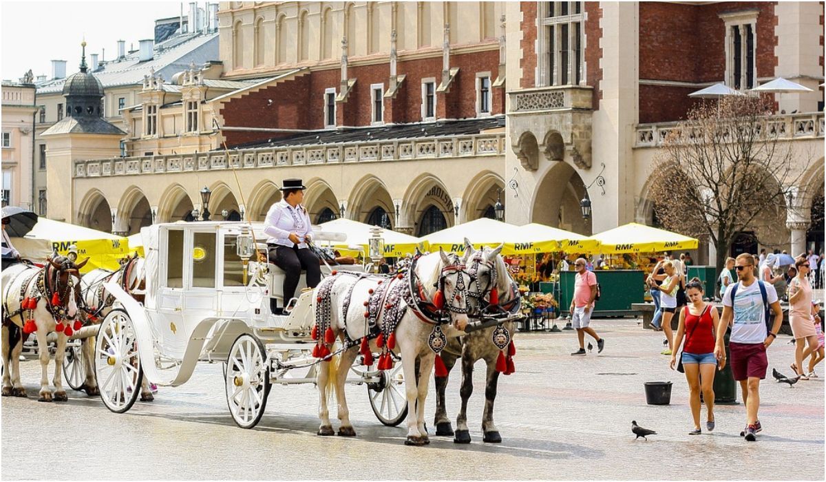 Jest decyzja w sprawie koni na krakowskim rynku