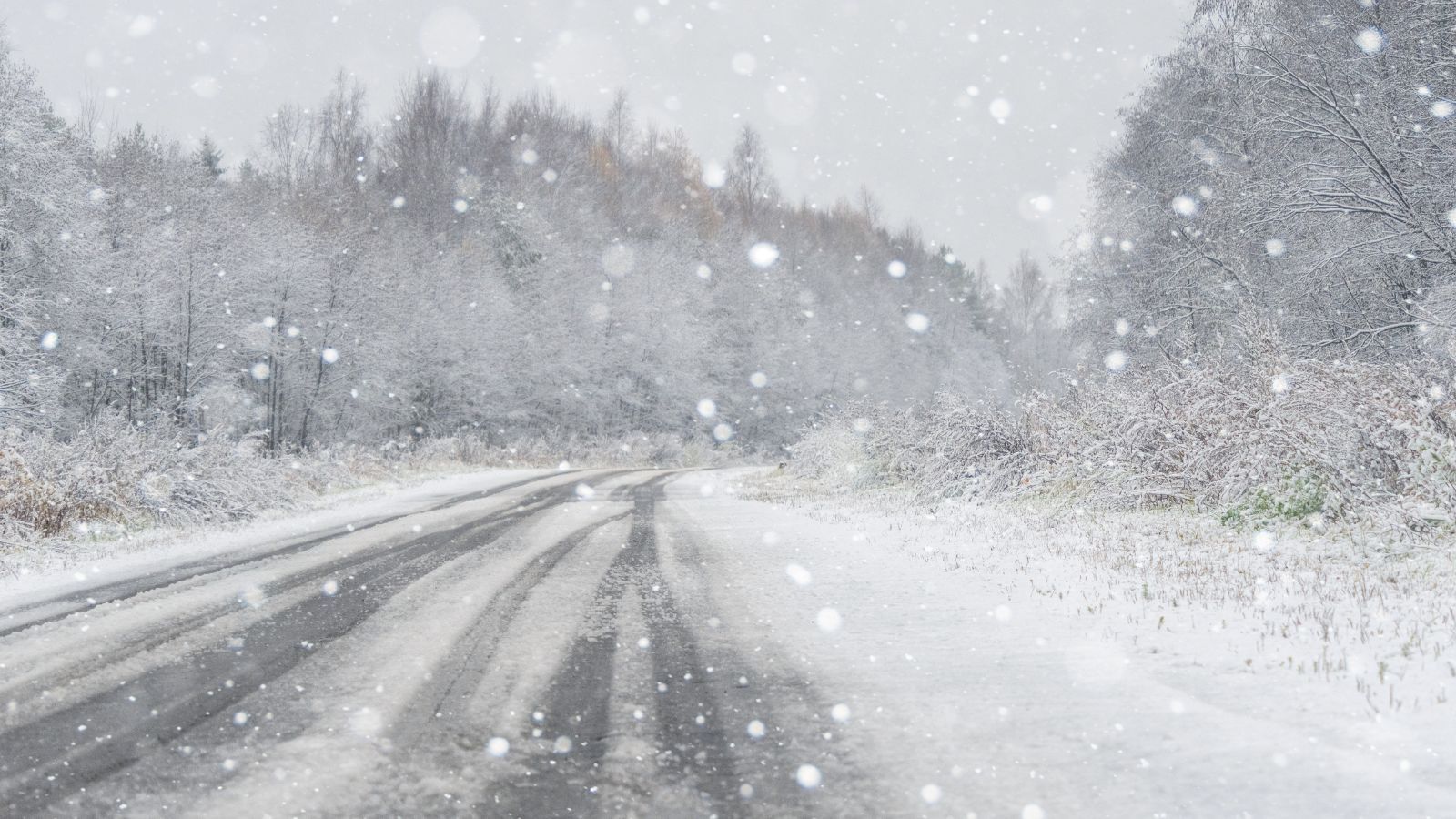 Niebezpieczne warunki w Polsce. Większość kraju objęta alertami, IMGW ostrzega