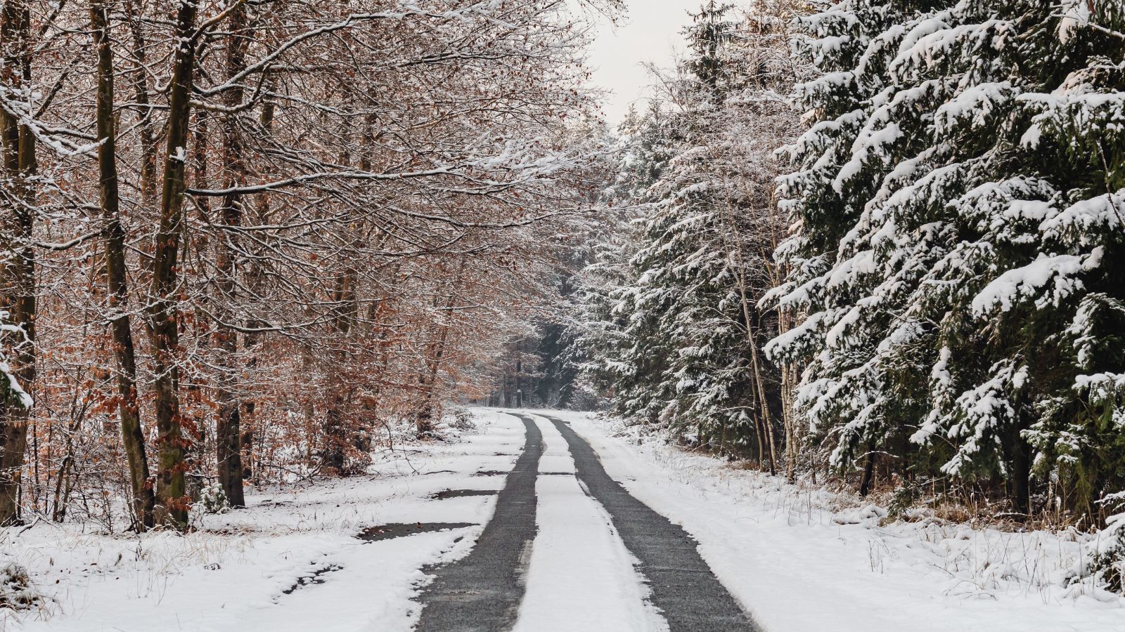 IMGW podało już prognozy na styczeń. Nie takiej pogody można się spodziewać po świętach