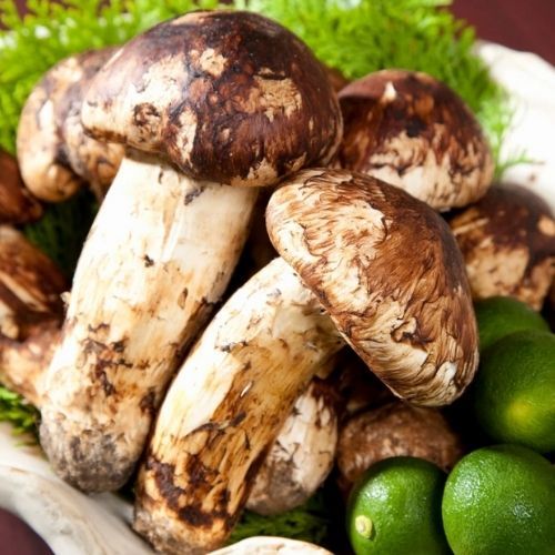 Najdroższe grzyby świata rosną w Polsce. Cena? Ponad 8 tys. zł za kilogram