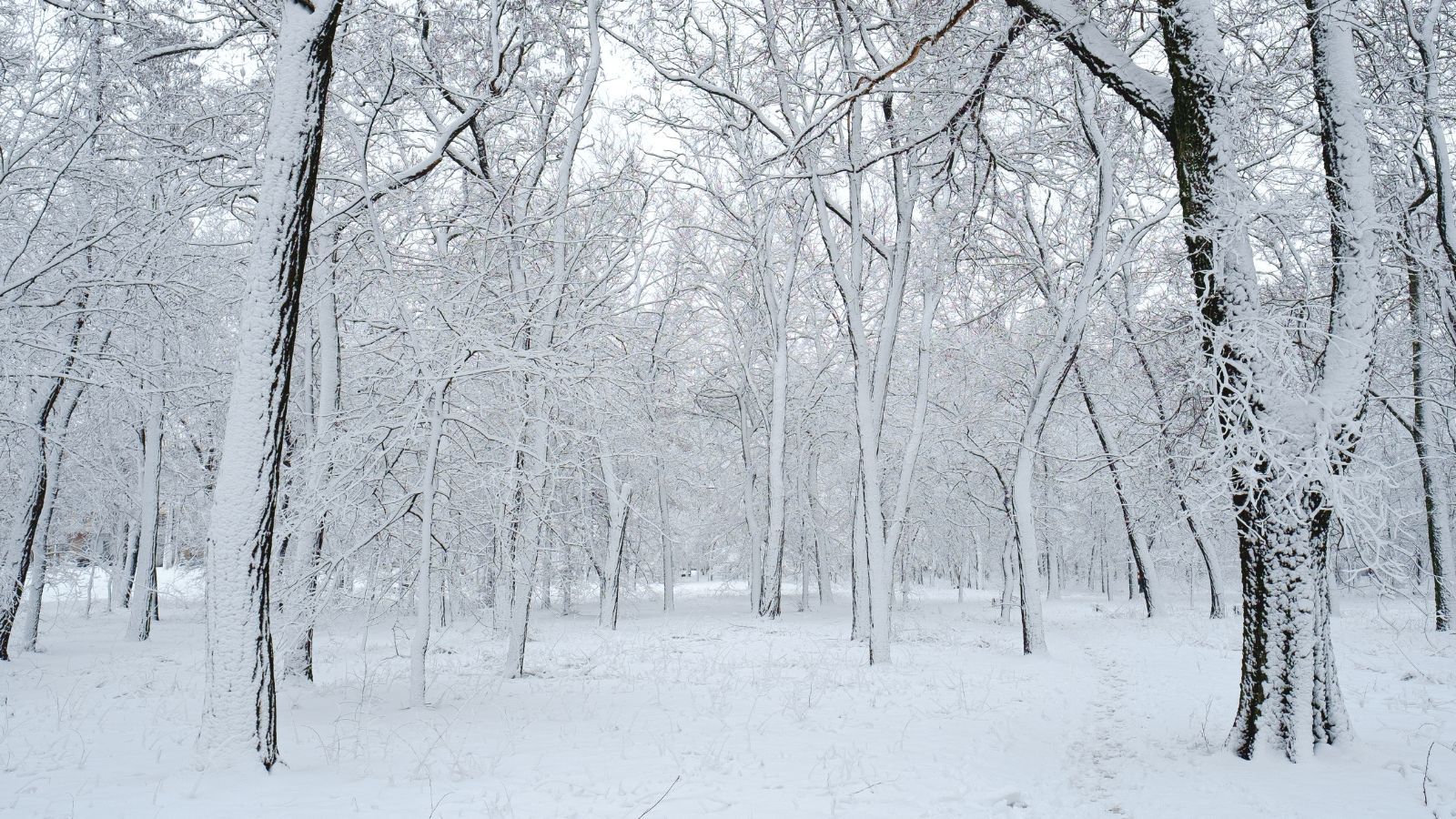 Meteorolodzy ostrzegają przed nagłym zwrotem. To koniec złudzeń