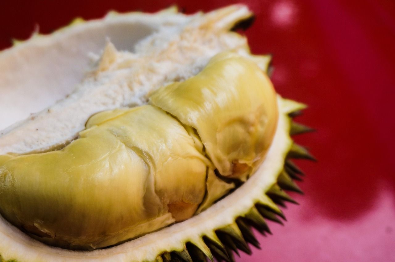 durian