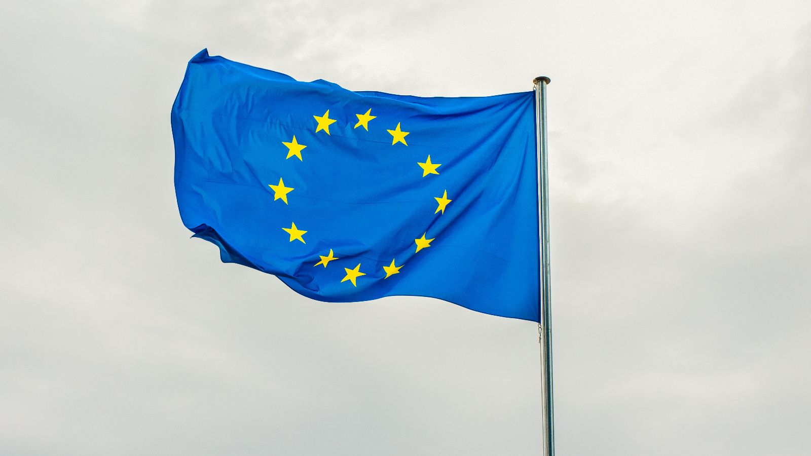 Polacy zdecydują o polityce klimatycznej UE? Nawrocki składa wniosek o referendum