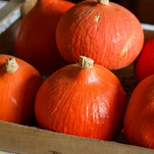 Gdy zaczyna się jesień, robię staropolską zupę z dyni. Nie ma lepszej