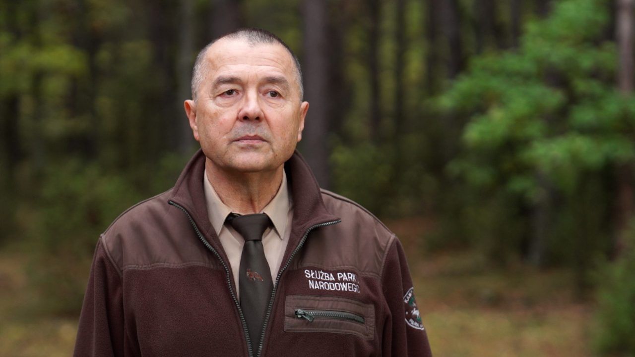 Artykuł Sponsorowany