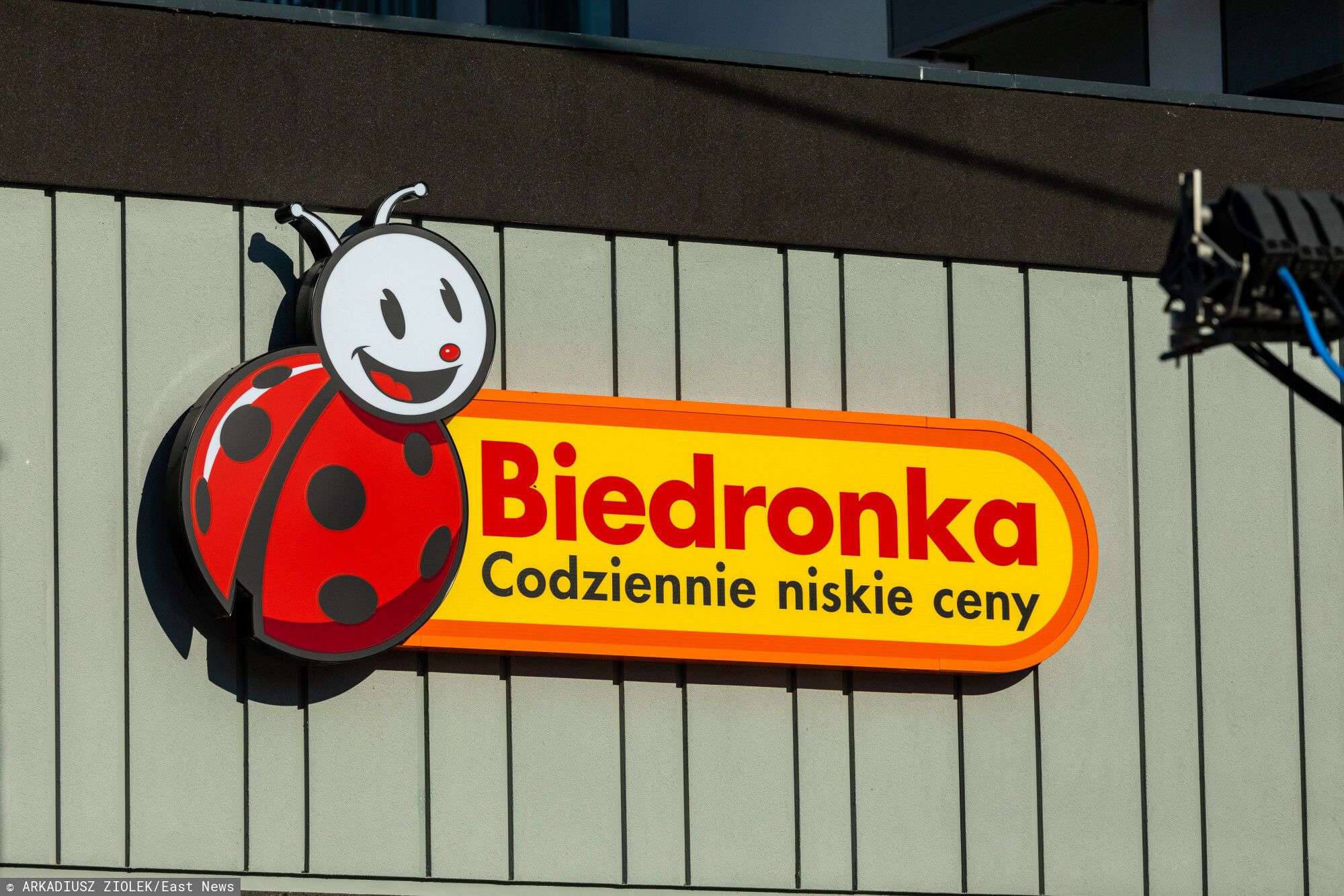 dysoknt biedronka.jpg