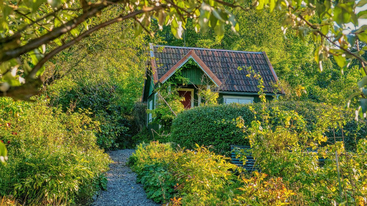 Miały być ekologiczne, a są skażone. Niepokojące odkrycie w ogródkach działkowych