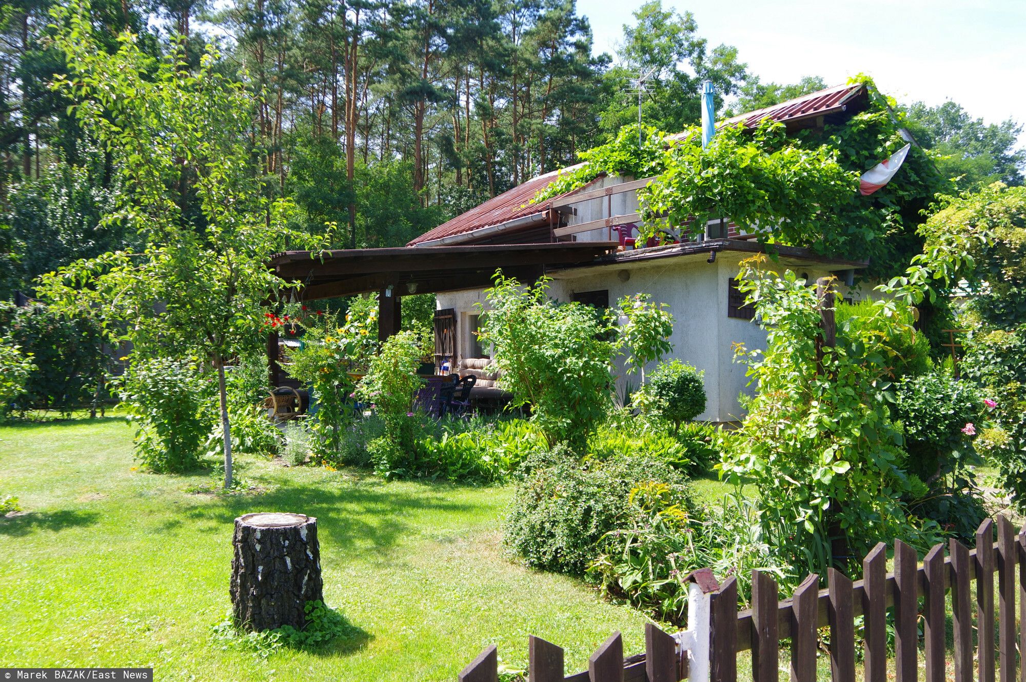 działka domek.jpg