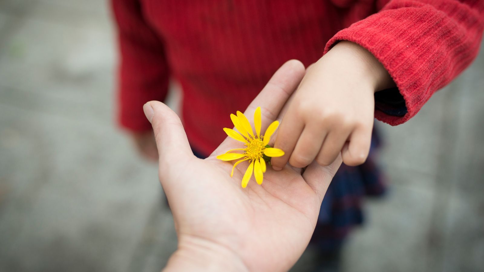 35 lat na rynku i nagle koniec. Największy producent butów dla dzieci w Polsce ogłasza upadłość