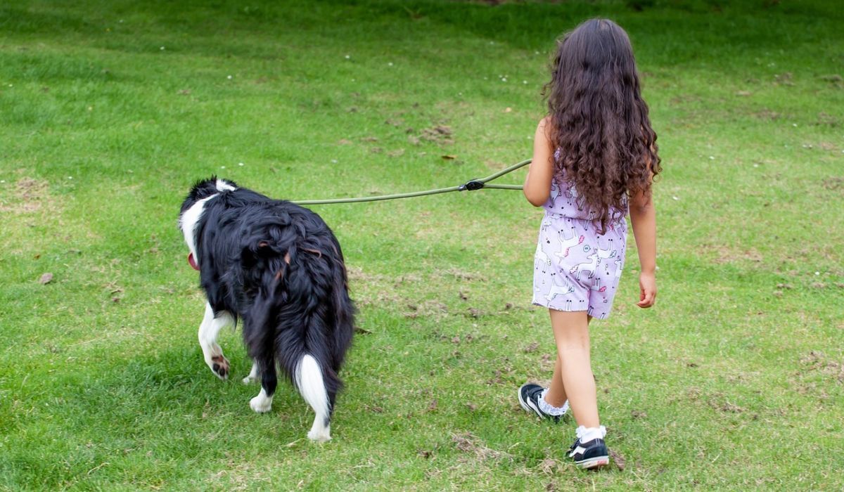 Dziecko na spacerze z psem
