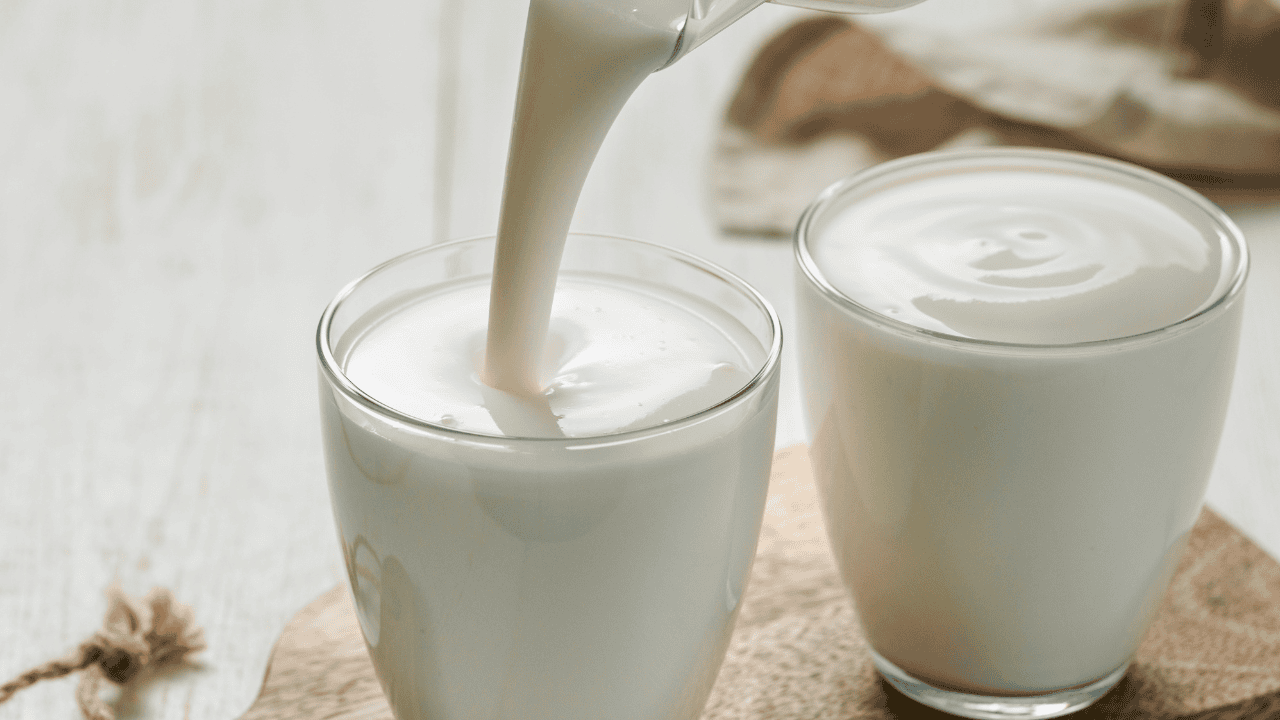 kefir