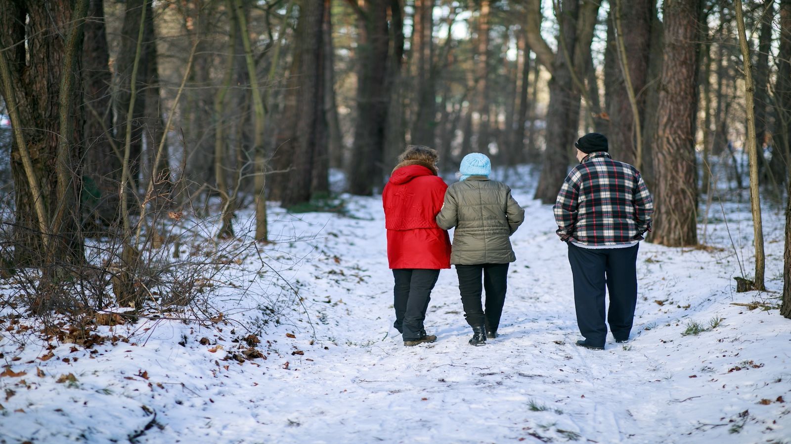 Waloryzacja i czternastki w 2026 roku – co czeka emerytów i rencistów?
