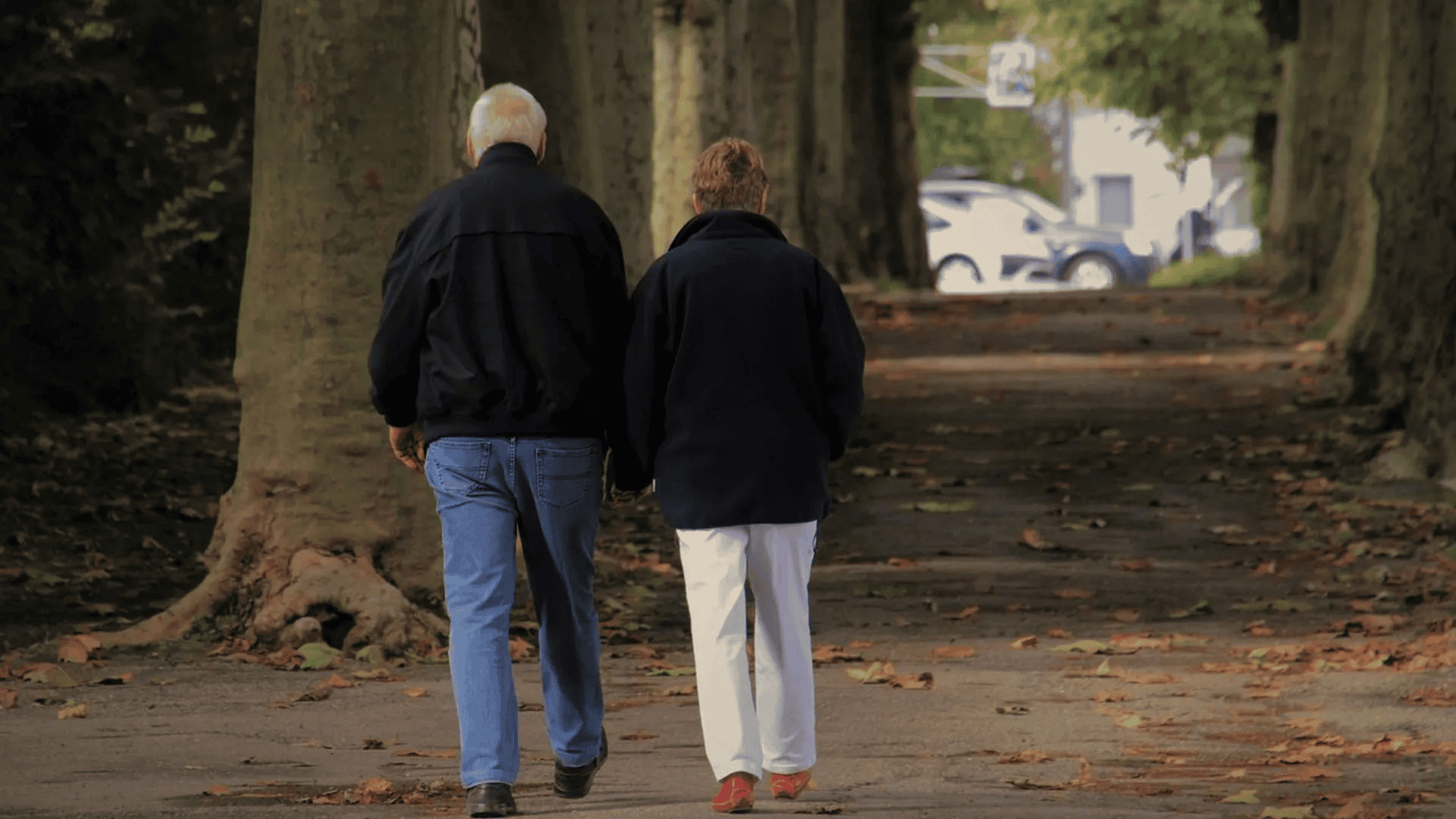 Ukryte korzyści z legitymacji emeryta. Nie każdy senior wie, jakie daje przywileje
