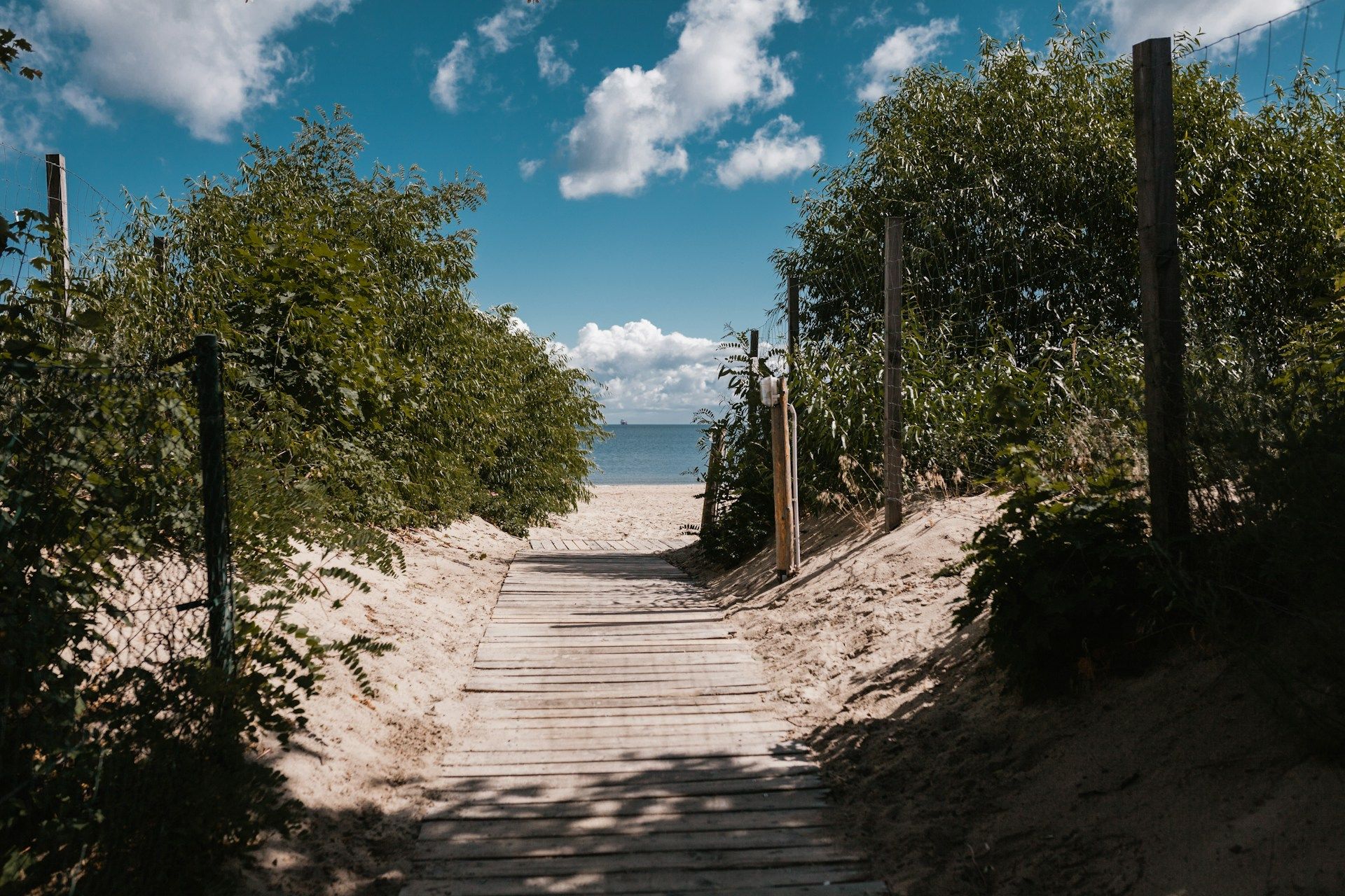 emilia-niedzwiedzka-nLXfdilSM3k-unsplash.jpg