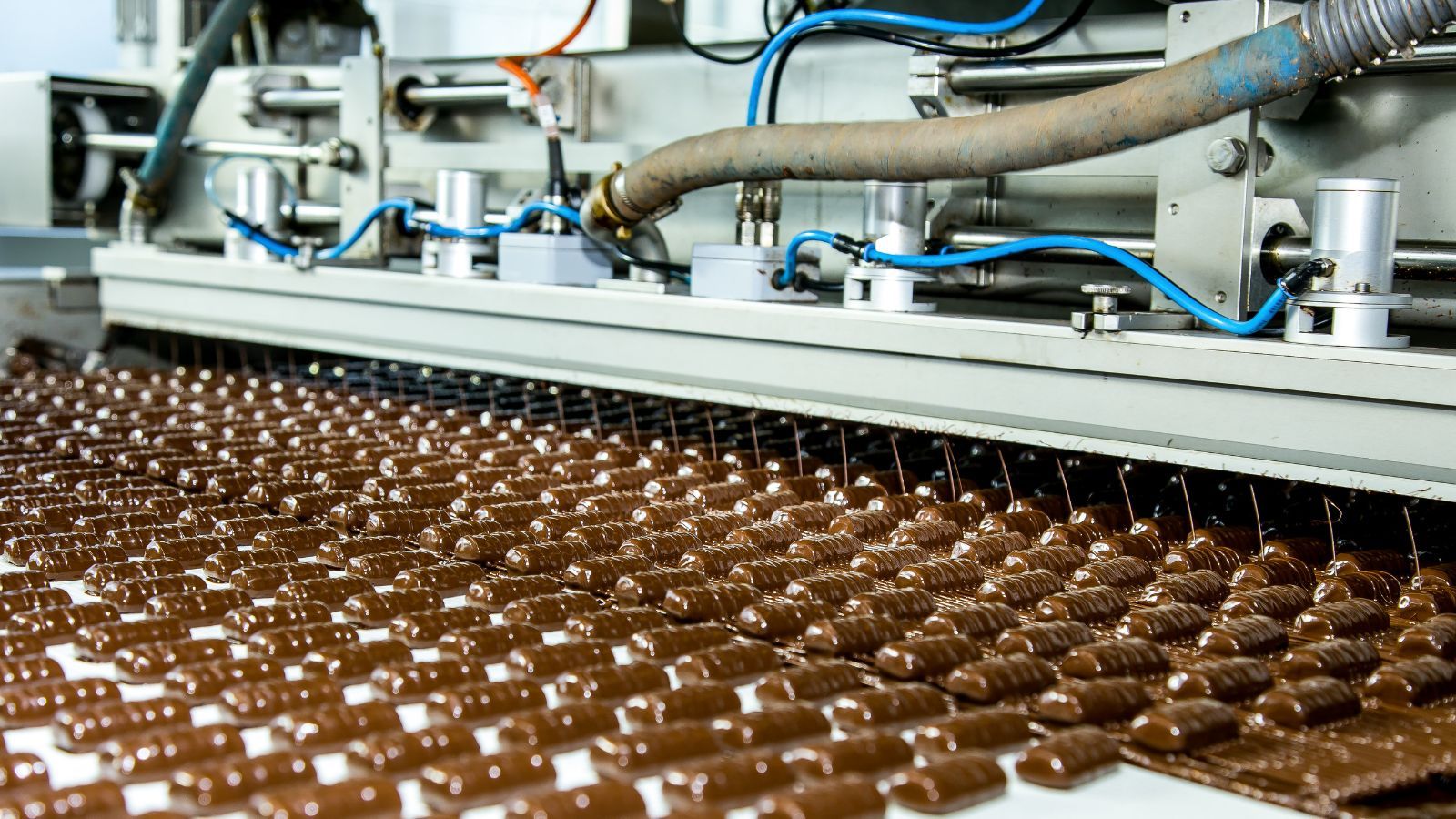 Znana polska fabryka zmienia kierunek. Będzie produkować dla wojska i NATO