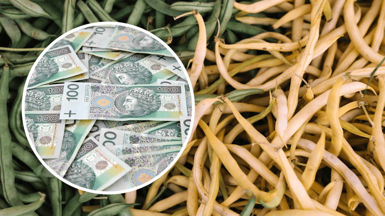 Fasolka szparagowa rekordowo droga. Klienci przecierają oczy ze zdumienia