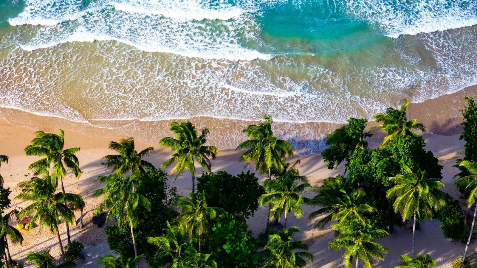 Już nie Tajlandia. Nowy ulubiony kraj na wakacje, w hotelach dziwią się, skąd tylu Polaków