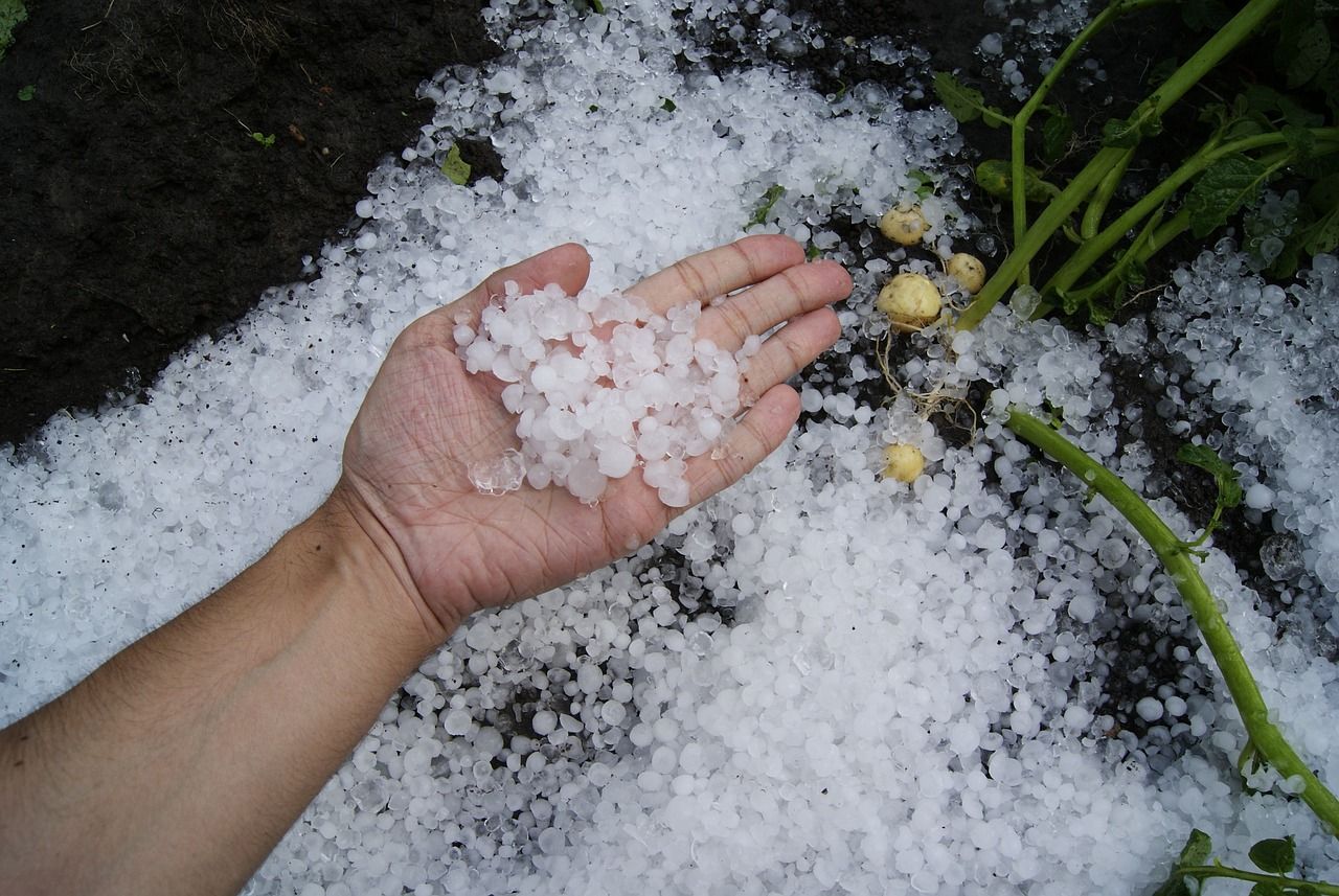 first-snow-1821255_1280.jpg