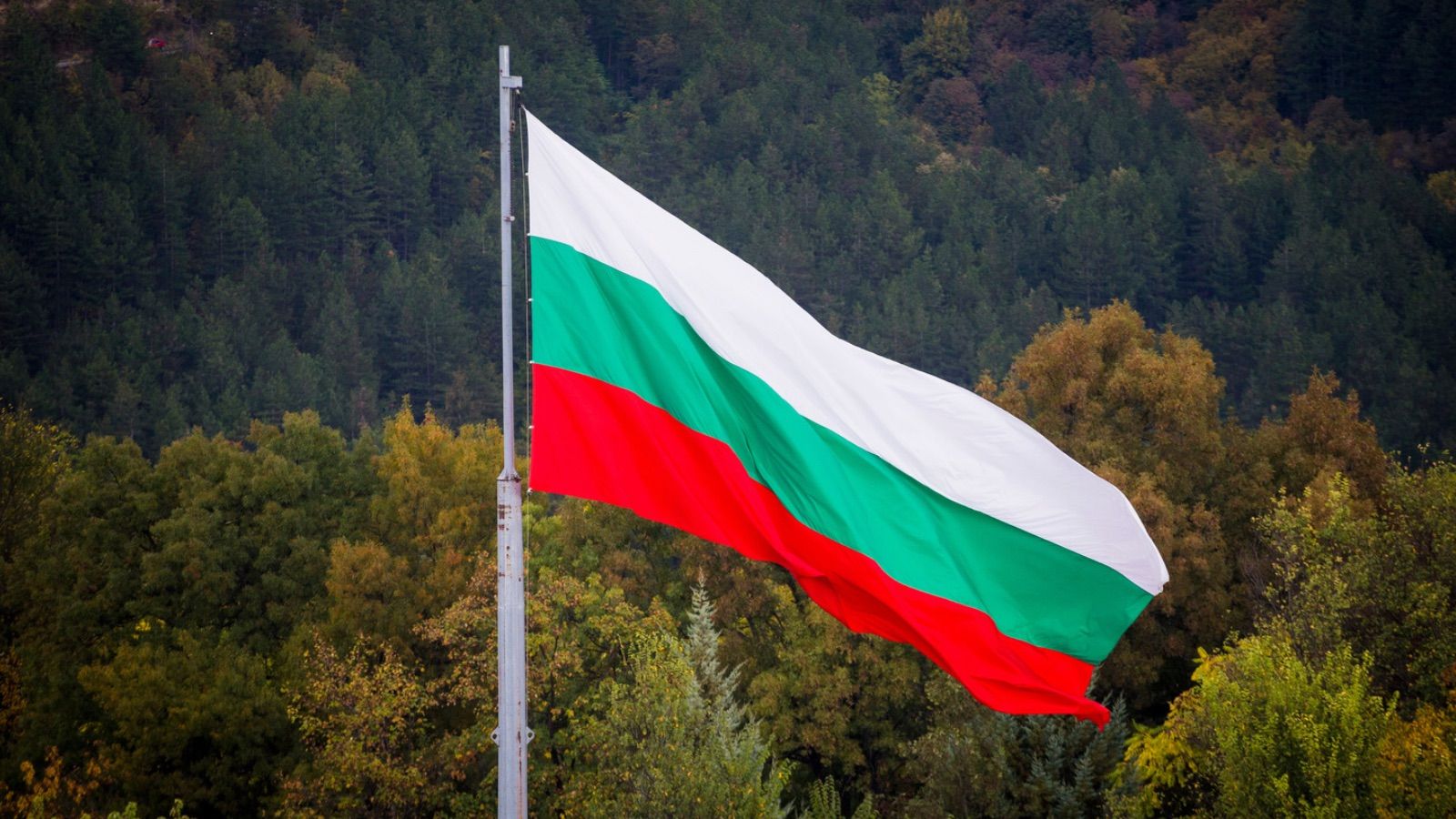 Flaga Bułgarii
