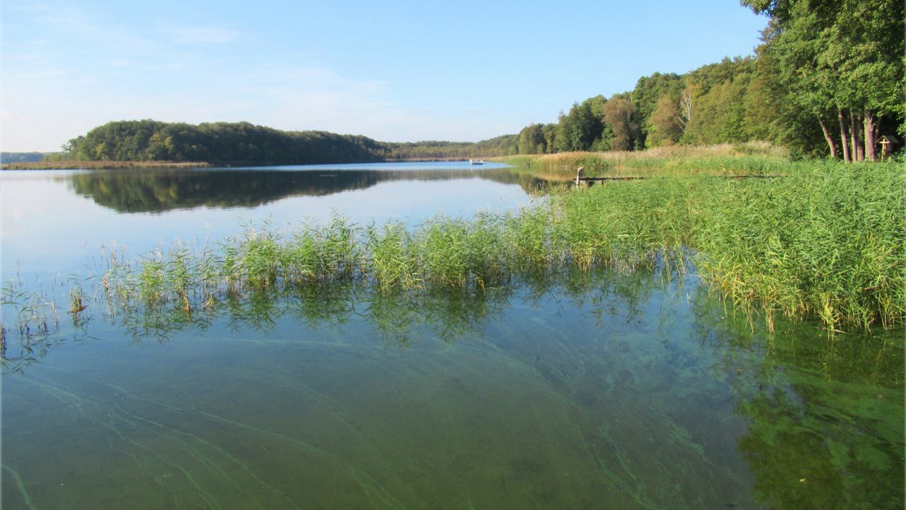 Jezioro (zdjęcie poglądowe)