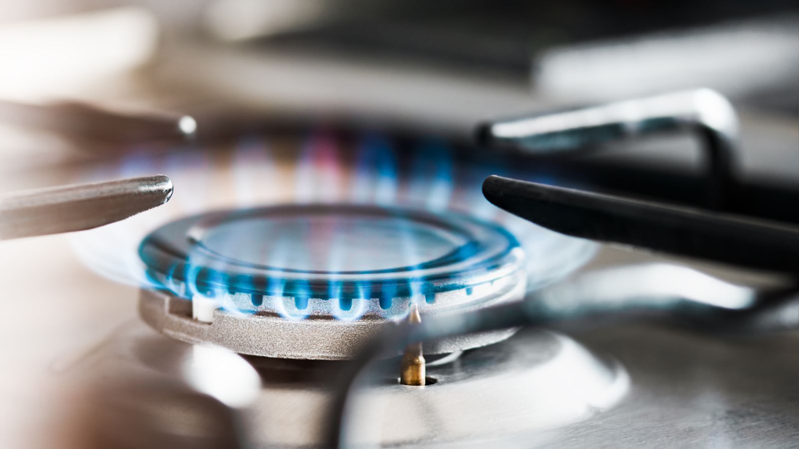 Magdalena  Fordymacka