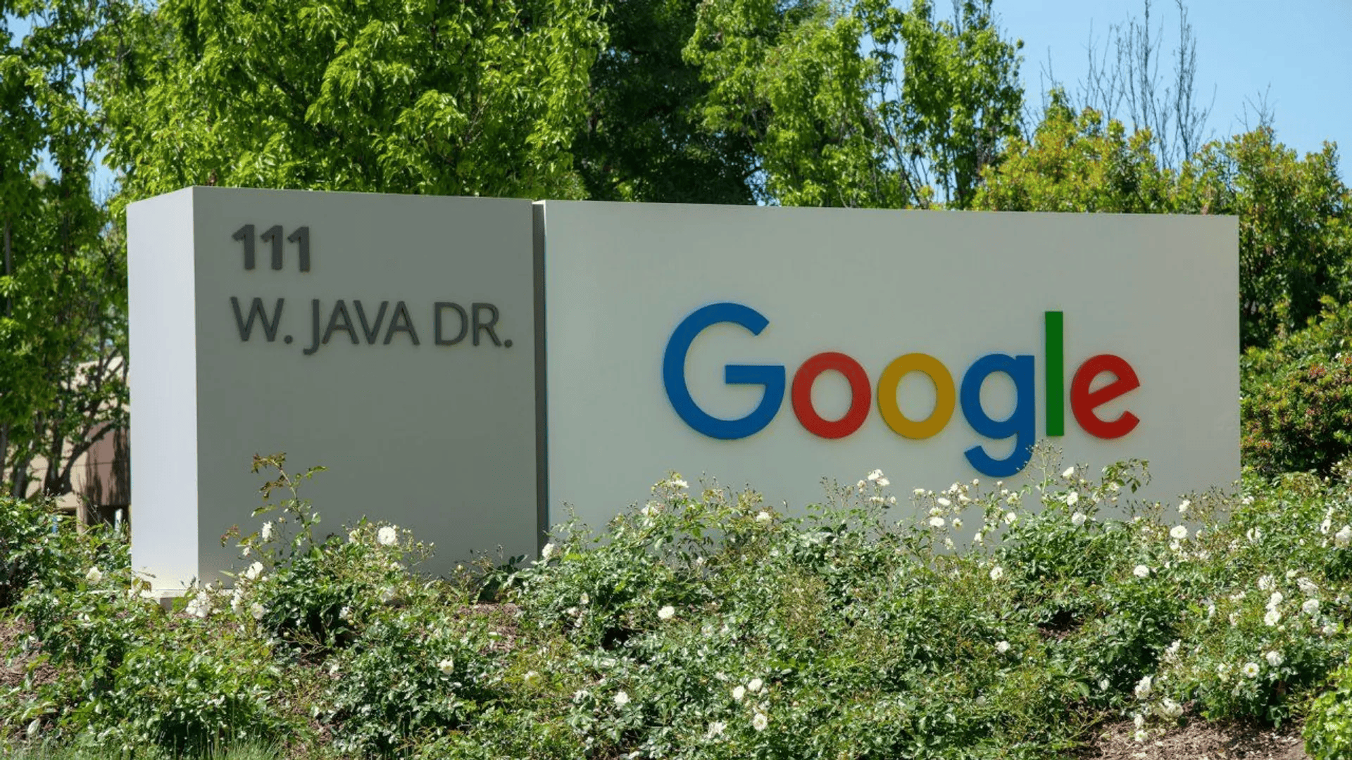 google 2.jpg
