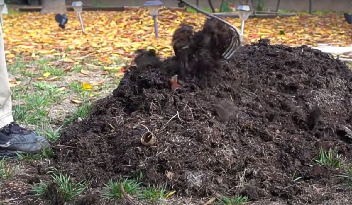gorący kompost