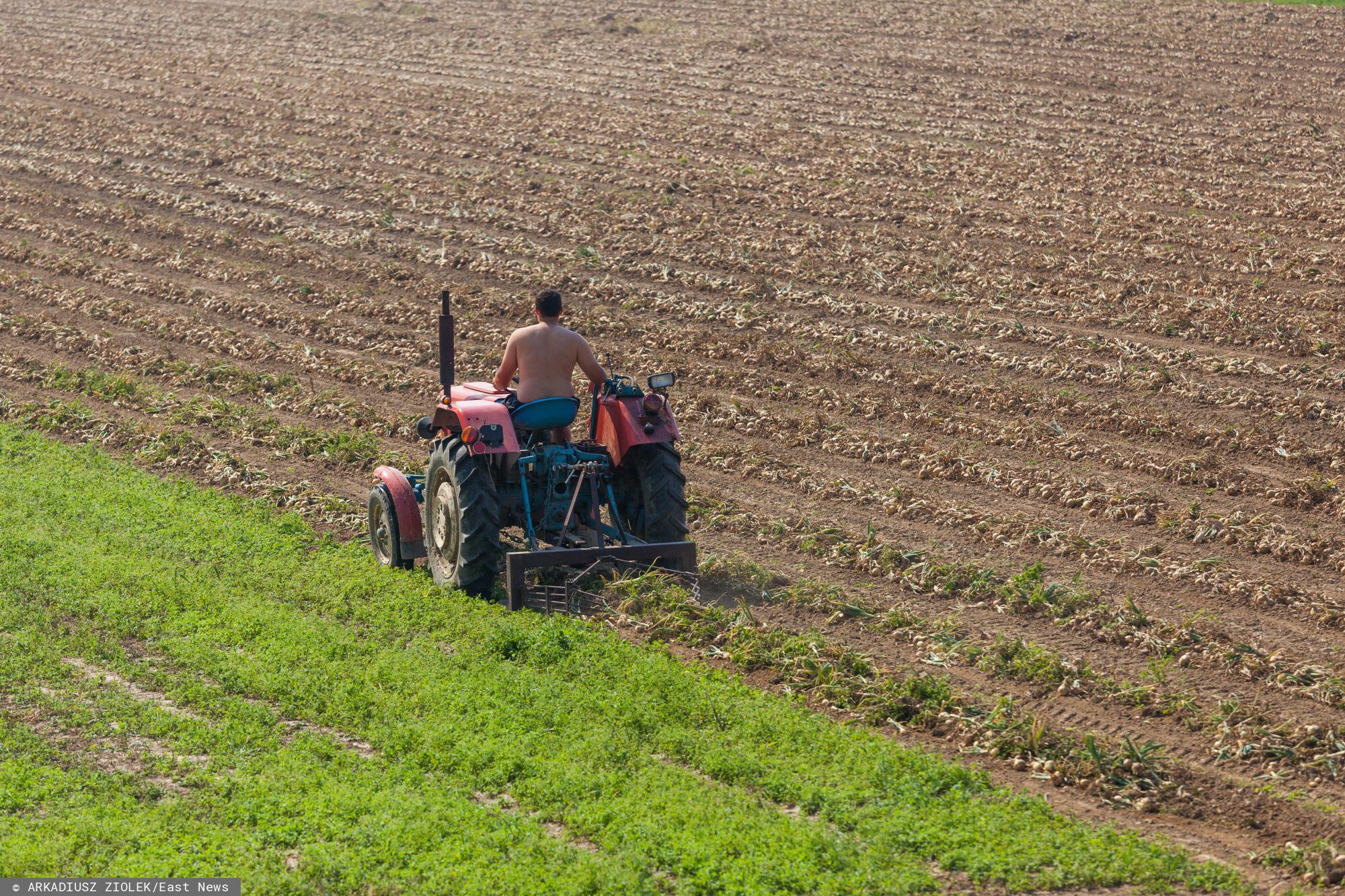 Ważne zmiany dla rolników od 15 września. Państwo odkupi nieużytki i zniszczoną ziemię