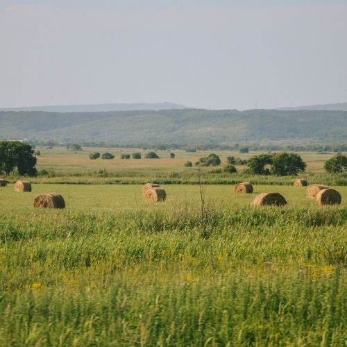 Rolnicy robią tak od dziesięcioleci. Jeden dokument może zdecydować o ogromnej karze