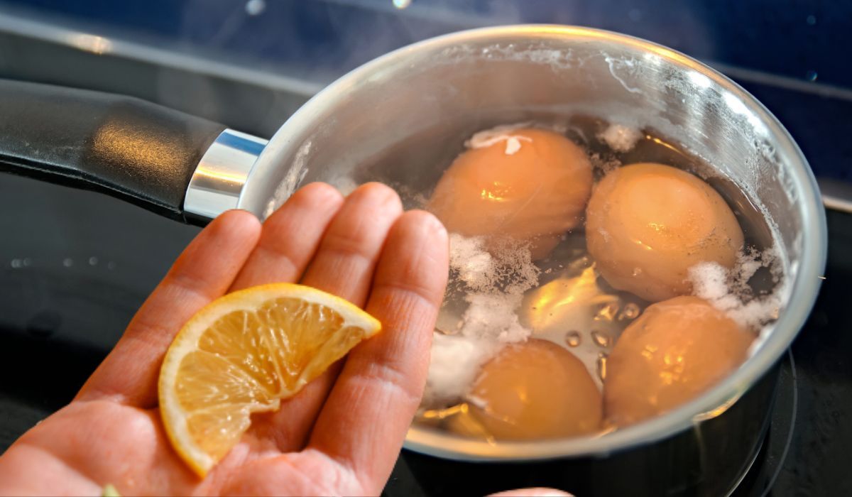 cytryna do gotowanych jajek
