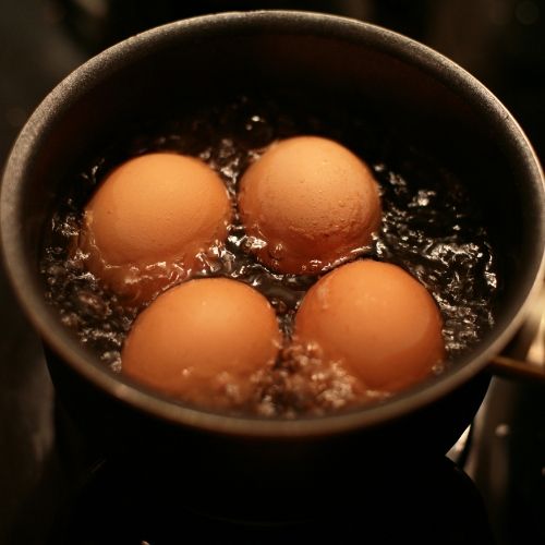 gotujące się jajka
