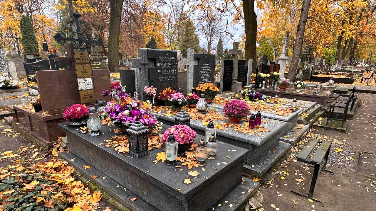 Wiadomo, jaka pogoda będzie na Wszystkich Świętych. Ogromne zdziwienie