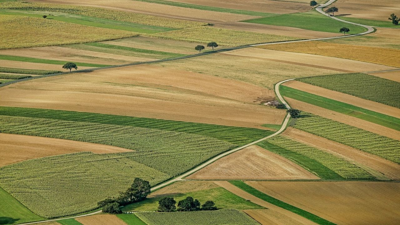 Ukraińskie grunty rolne zbywane za grosze. Przedsiębiorcy zacierają ręce